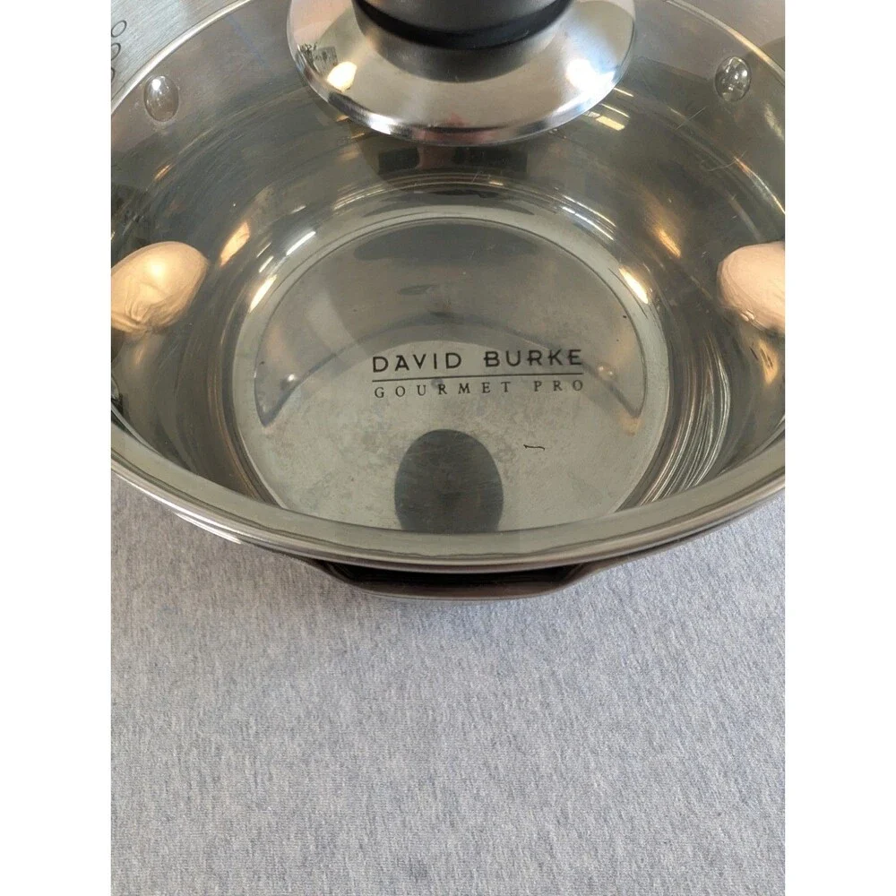 David Burke Gourmet Pro Stainless Steel Stockpot 3.3 Qt Glass Lid Double Handle